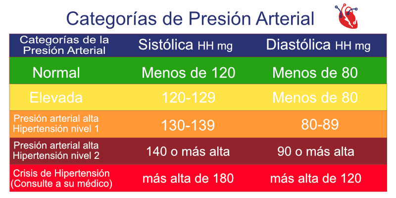 Qué es la presión arterial? ¿Cuáles son sus rangos normales? | CardioBaja